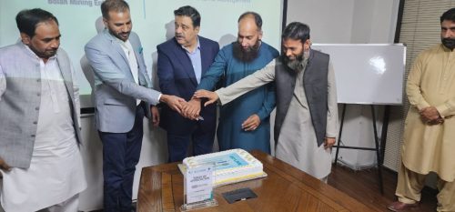 Erp Go Live Ceremony